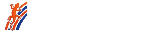 株式会社GECKO様